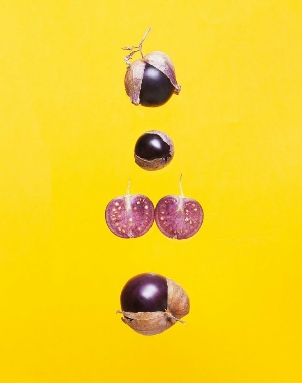 food photography maren caruso 4 #ingredients #photography #conceptual #food