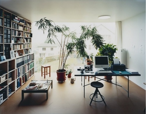 On Display #bookcases #plants #libraries #books #interiors #architecture #trees #green