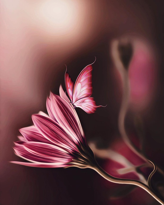 Fine Art Flowers Photography by Dina Telhami