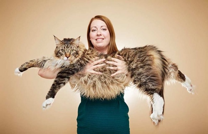 Some Epic Photos From The Guinness World Records 2017