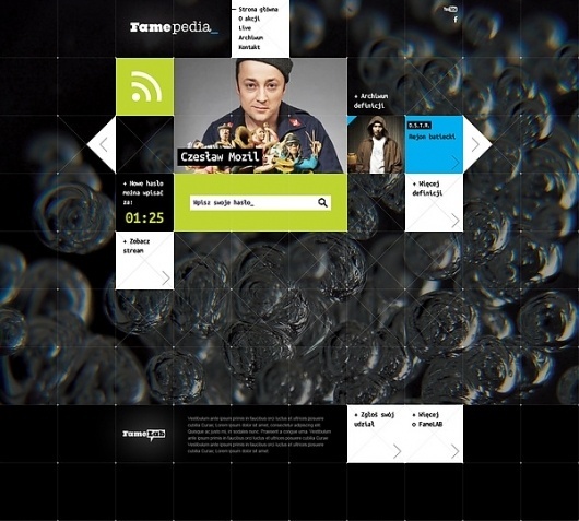 FameLab on the Behance Network #grid #design #web