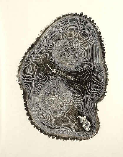 Lookwork: KeenanC's Library #thumb #print #tree