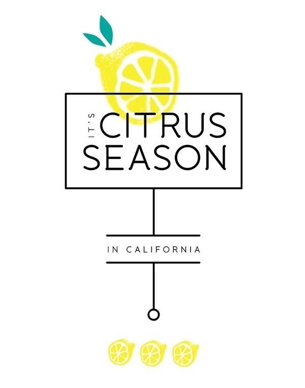 citrus season | GRAPHIC DESIGN #type #layout #identity #california