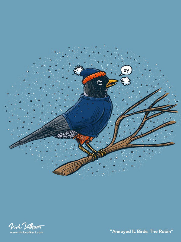 Just because the robin is a frequent visitor in Illinois, it doesn't mean this robin hasn't had his fill of cold-ass Midwestern Winters.