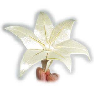 How to make an origami lily with six petals (http://www.origami-flower.org/howto-origami-lily.php)