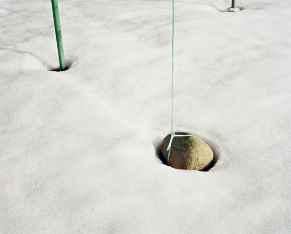 Emily Shur #photography