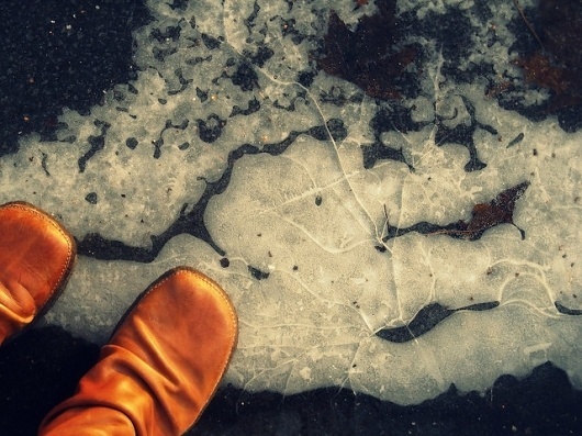 Take it slow | Flickr - Photo Sharing! #jetpac #claudia #photography #auxpetitsoiseaux #ice #magazine