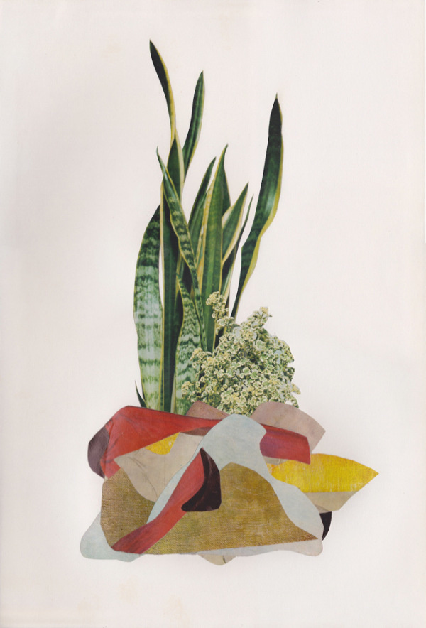 B.D. Graft | PICDIT
