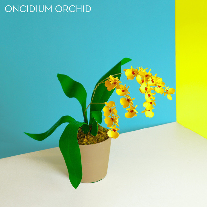 Paper Plants #heart #we #art #orchid #paper #plant