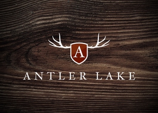 Branding 10,000 Lakes #logo