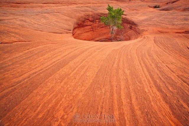 Colorful Landscapes by Guy Tal #inspiration #photography #landscape