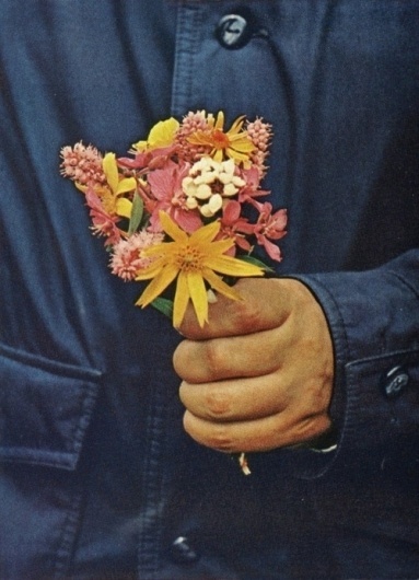 The Pursuit Aesthetic #woman #pink #button #yellow #coat #flower #blue #man #hand #love #green
