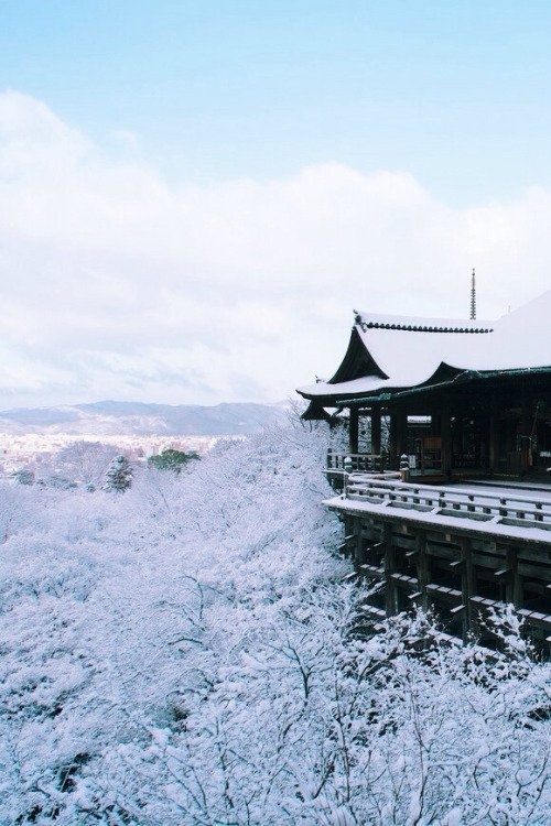 Kyoto, Japan {Yuya Horikawa} #that #in #been #done #there #spring