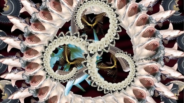 Claws Feathers and Fangs #design #spiral #claws #veronica #feathers #sharks #butterfly #fangs #velasquez #patterns
