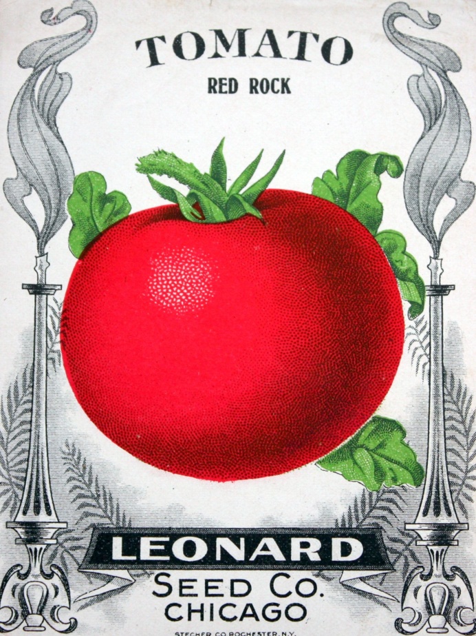 Seed Packet