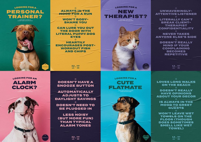 Adobe Pawtraits - Mindsparkle Mag For The People & ilana grace designed this beautiful project named Adobe Pawtraits. #logo #packaging #identity #branding #design #color #photography #graphic #design #gallery #blog #project #mindsparkle #mag #beautiful #portfolio #designer