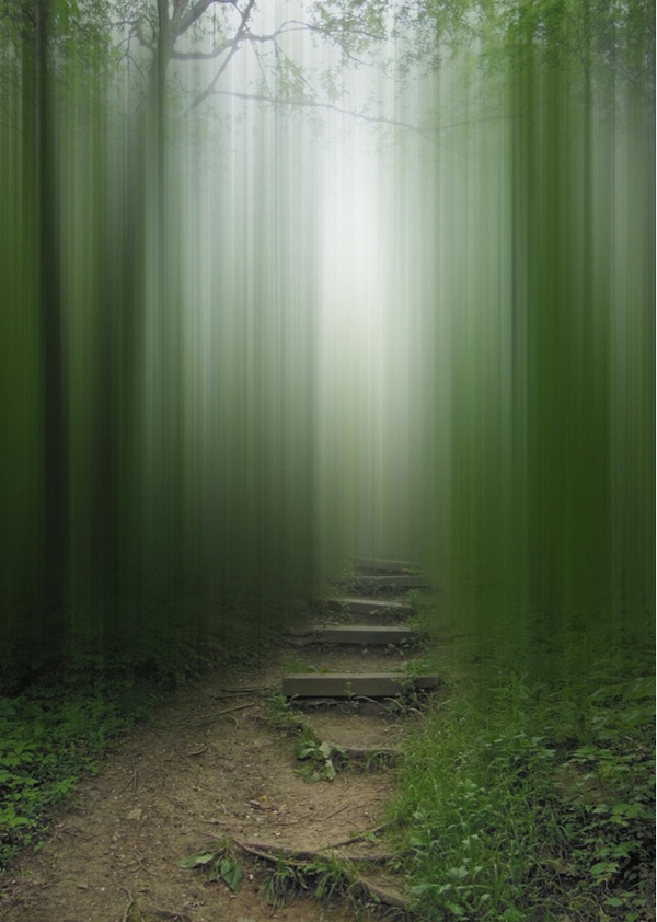 ELLEN JANTZEN: Disturbing The Spirits #blurred #photo #steps #path #photography #manipulation #spirits #forest #trees #green