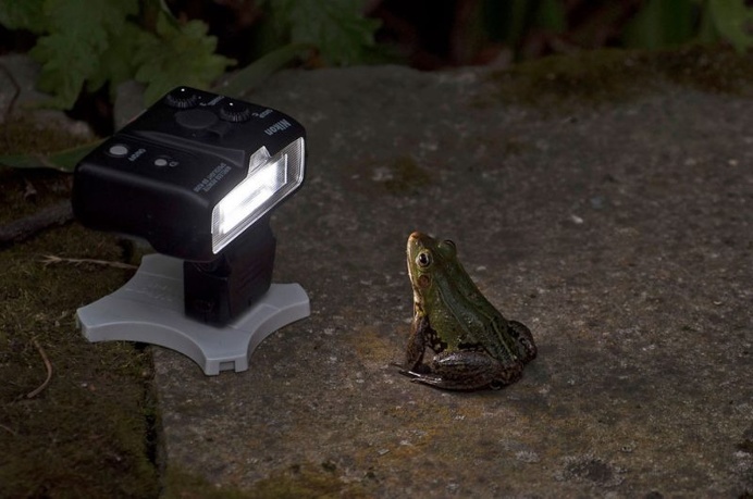 Hilarious Finalists of The Comedy Wildlife Photography Awards 2016