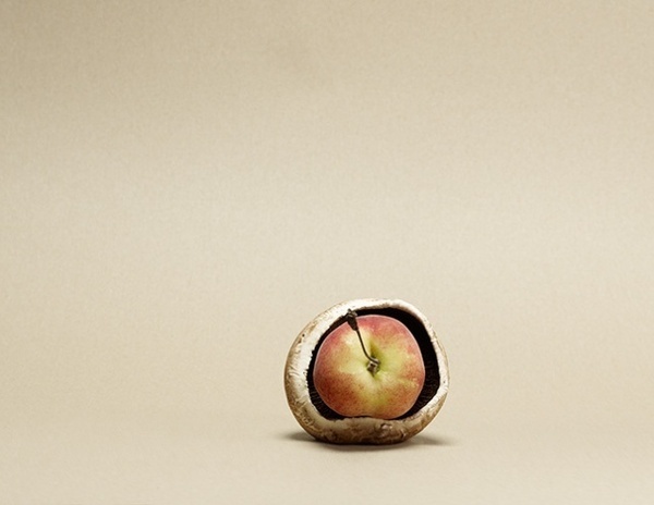 Still Life Photographer Rene Mesman #inspiration #still #photography #life