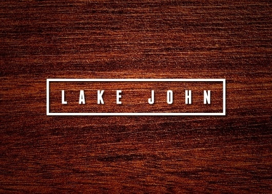 Branding 10,000 Lakes #lake #logo #branding