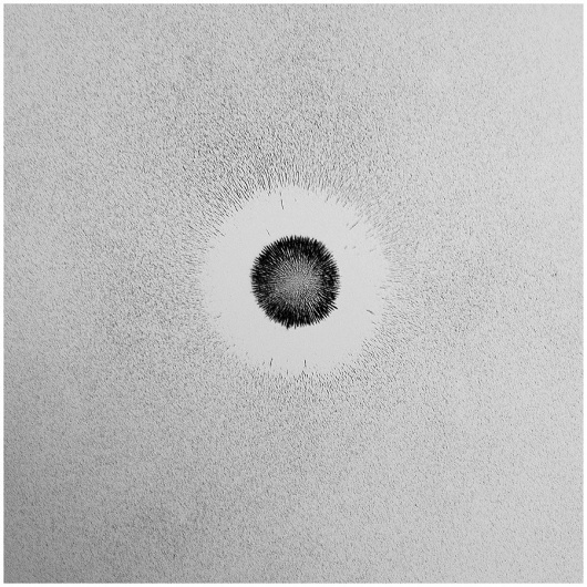 The universe is not being pushed from behind; it's being pulled... - but does it float #monochrome #physics #magnetism