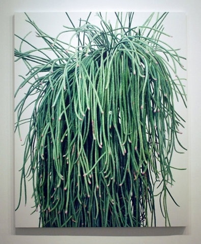FFFFOUND! | GraphicHug™ - Everybody Needs a Hug #plant