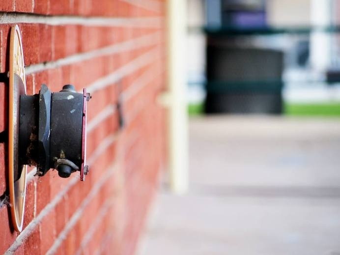 Depth of Field Exploration #photography #beginner #amateur