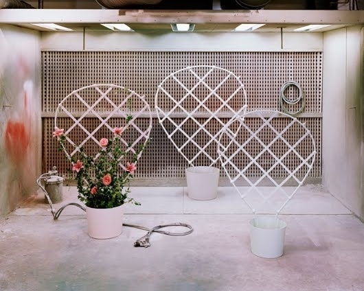 GFP_TAF_01.jpg (530×424) #flower #grid #design #taf