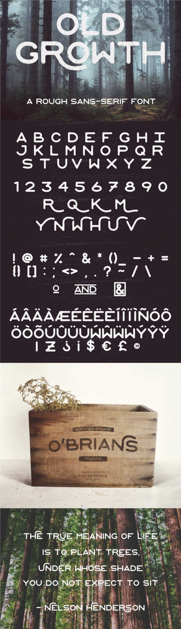 OLD GROWTH – FREE FONT