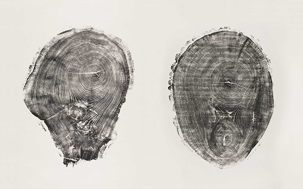 It's Nice That : Graphic Design: Norwegian studio Heydays make wood look really good #art