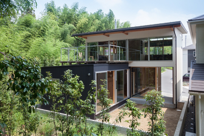Green and Live House