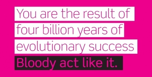 xsd | Design related Blog #pink #quote