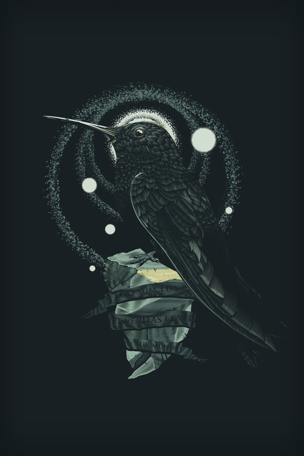 Stone Steel on Behance #illustration #vector #tone #bird