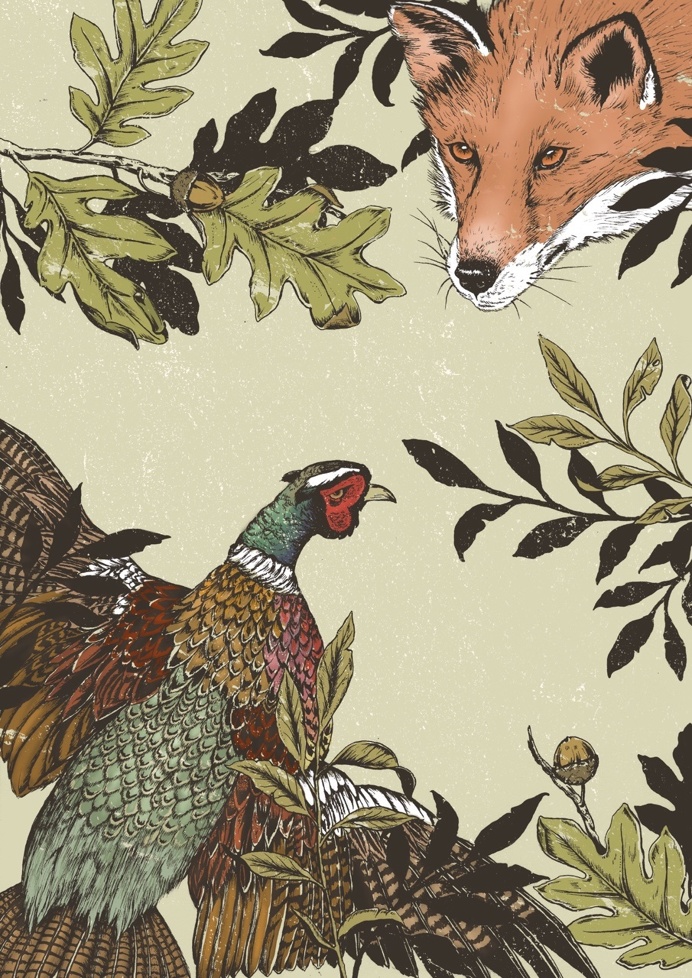 Fox & Pheasant #fox #pheasant #illustration