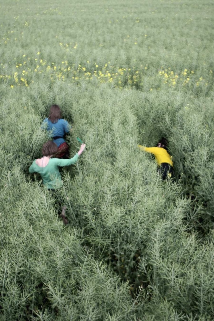 Beautiful Photography by Lisa Wassmann