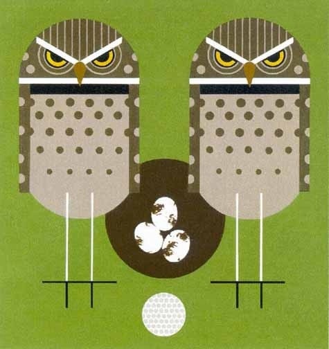 http://b-u-i-l-d.tumblr.com/# #eggs #anger #owls #golfball