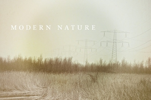 Flickr: Your Photostream #tree #modern #nature #minimal #emptiness
