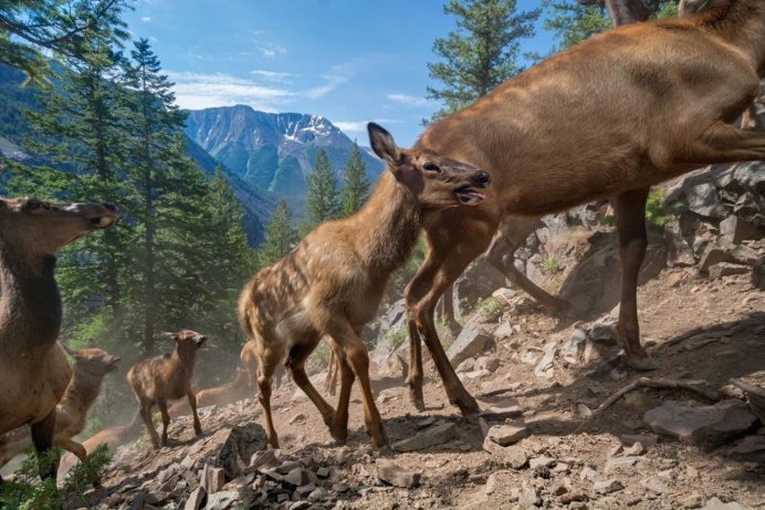 National Geographic Unveils Its 50 Most Beautiful Travel Photos Of 2016's