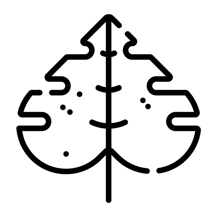 See more icon inspiration related to leaf, plant, garden, farming and gardening, ecology and environment, botanical, gardening, leave, leaves, holidays and nature on Flaticon.