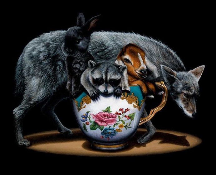 Meticulous Paintings of Animals and Objects by Jacub Gagnon