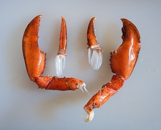 The Alinea Project | #photography #food