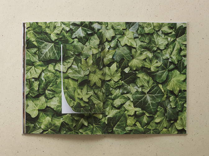 Mother Design #layout #editorial #publication