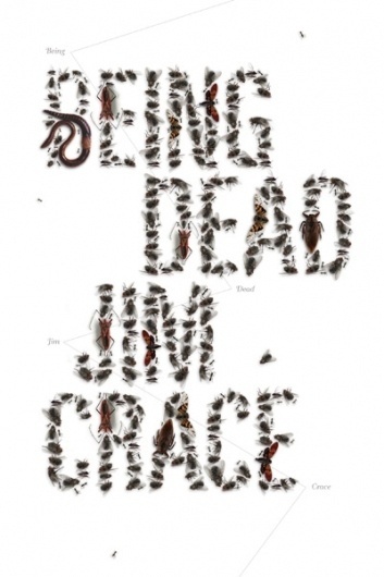 Some Books on the Behance Network #insects #bugs #ward #craig #typography