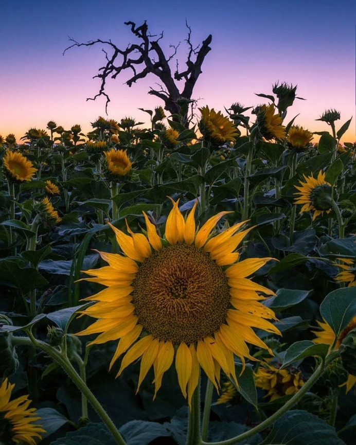Breathtaking Travel Landscapes by Luke Tyree