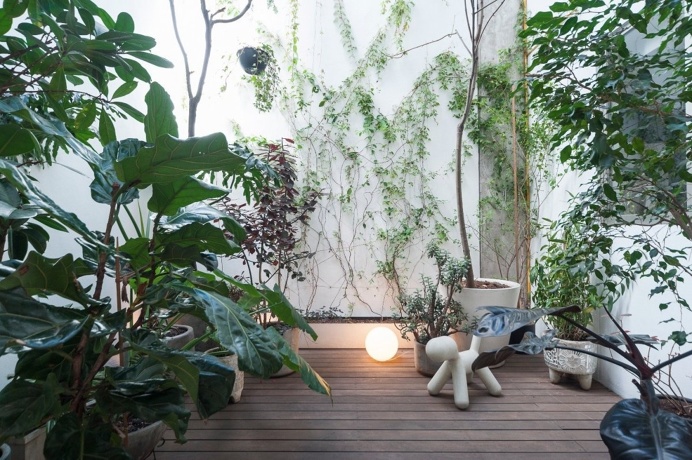 Courtyard container garden. Río Nilo Apt. © LGM Studio. #courtyard #containergarden #garden