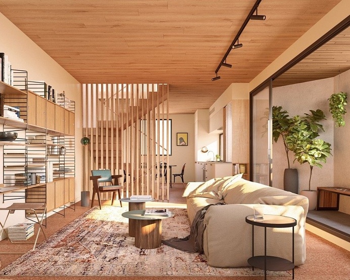Barry Street Townhouses 2