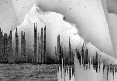 Artist's Website #gallery #ciro #totku #chance #aleatoric #art #accidental
