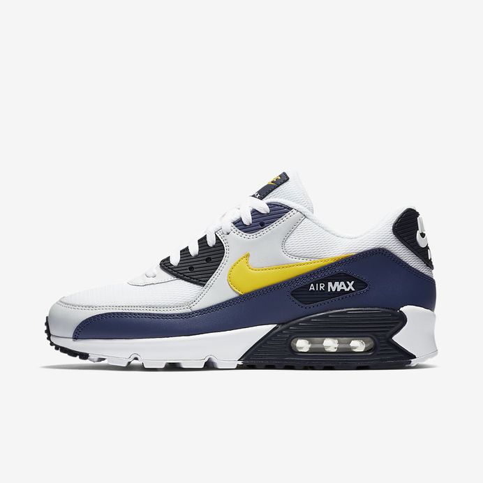 Nike Air Max 90 Essential Men's Shoe