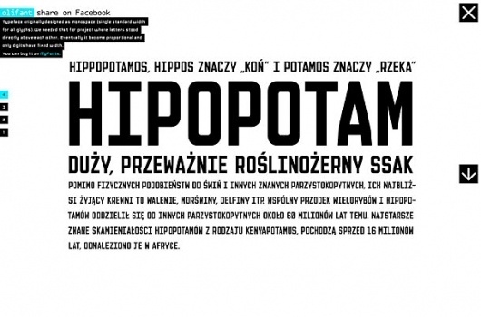 GraphicHug™ – Everybody Needs a Hug » Polish Hipopotamus #design #web #typography