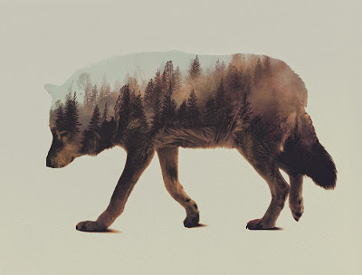 Double Exposure's by Andreas Lie